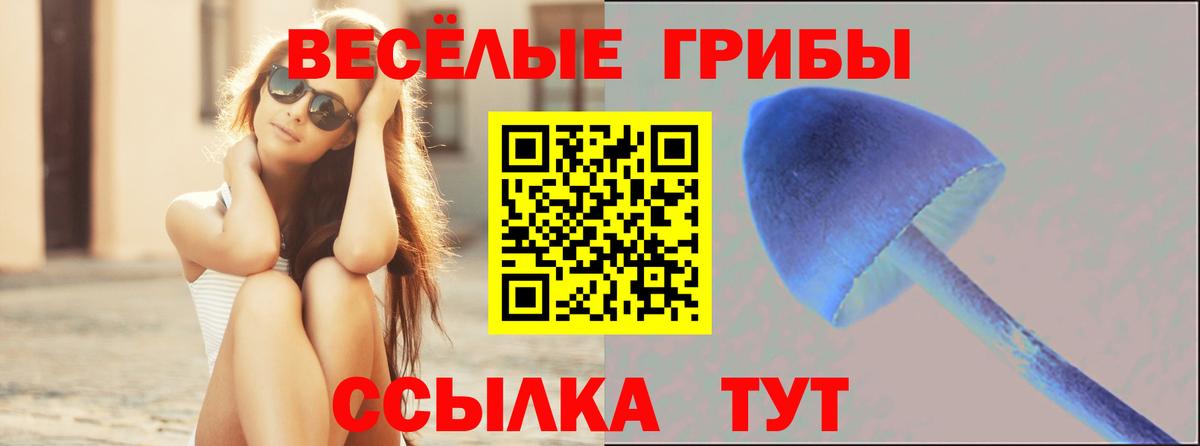 Псилоцибиновые грибы прущие грибы Ликино-Дулёво